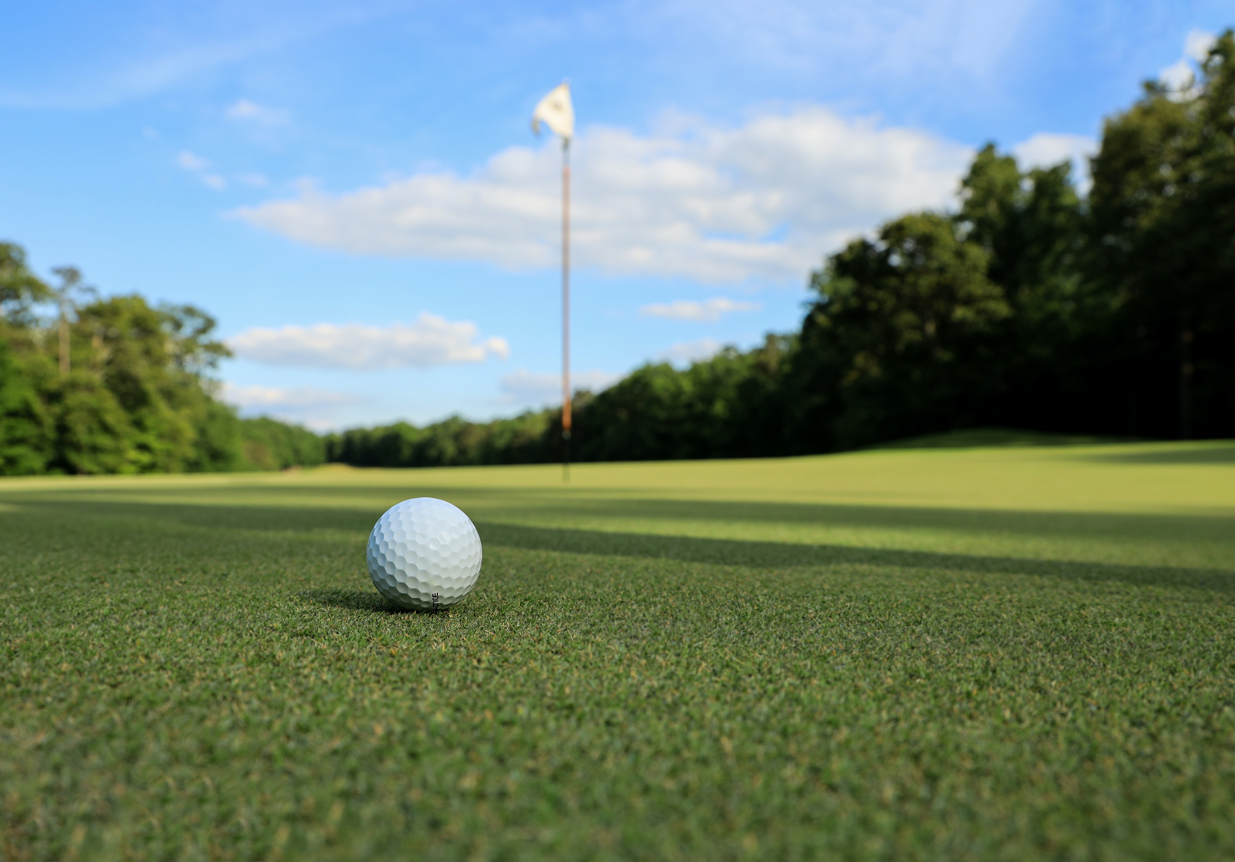 Golf ball on green